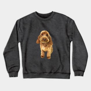 Cockapoo Cockerpoo Spoodle Cutie Doodle Dog Crewneck Sweatshirt